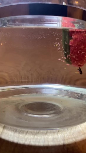 Mastering the Feeder Method: Expert Tips for Successful Carp Fishing