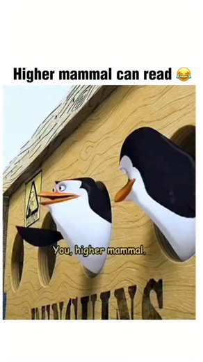 movie sphere HQ on Instagram: "Movie: Madagascar: Escape 2 Africa (2008) (Animation / Adventure / Comedy) 1h 28min Directors: Eric Darnell, Tom McGrath Cast (voices): Ben Stiller, Chris Rock, David Schwimmer, Jada Pinkett Smith, Sacha Baron Cohen, Bernie Mac, Alec Baldwin Description: Madagascar: Escape 2 Africa follows Alex the lion, Marty the zebra, Melman the giraffe, and Gloria the hippo as they try to get back to New York but crash in the African savanna. There they meet members of their ow