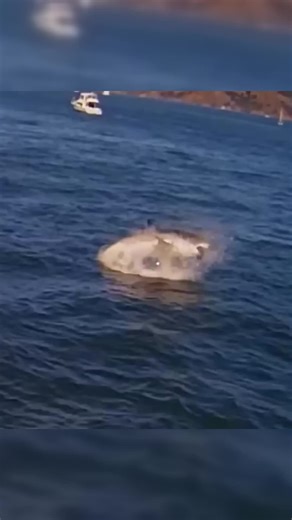 Escaping from a a max security prisión using basic engeneering part 9 #markrober #engeneering