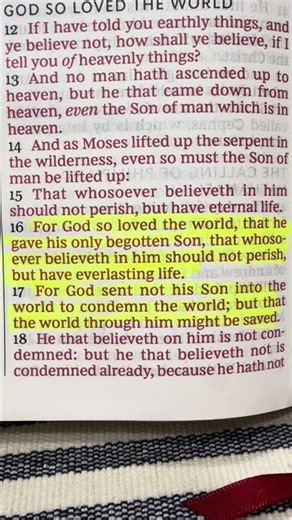 Gospel of John 3:16-17