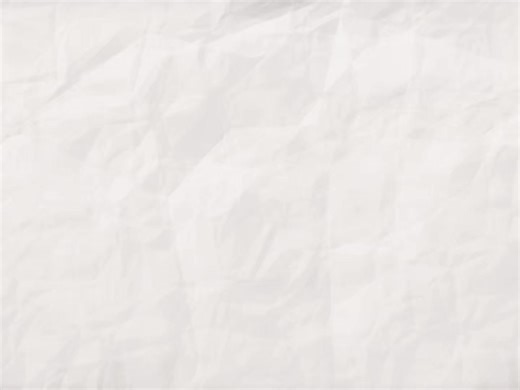 Exploring Campus Life at Northeastern University