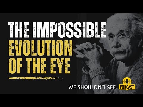 From a Single Cell to Sight : The Impossible Evolution of the Eye | Void and Cosmos