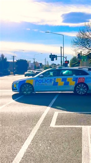 Police responding lights and sirens