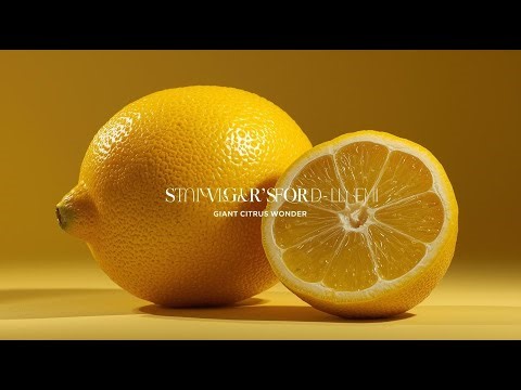 Ponderosa Lemon – The Giant Citrus Wonder with Unique Flavor