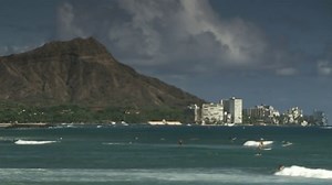 Dangerous sea life encounters increase for boaters and swimmers