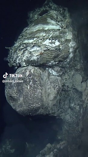 Unwind with the breathtaking beauty of deep-sea hydrothermal vents 🔥〰️⁠ ⁠ Some of the most stunning landscapes on Earth lie deep beneath the ocean’s surface. Volcanic activity on the seafloor creates scattered oases known as hydrothermal vents. These underwater geysers spew superheated water rich in dissolved minerals. When that scalding-hot water comes in contact with frigid deep-ocean water, the minerals crystallize, raining tiny flecks of “ash” to the seafloor. Those mineral deposits build u