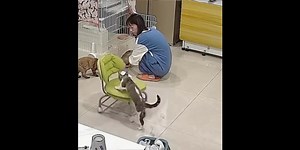 Voici une chaise pour être plus à l'aise.