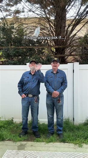 We thought it was pretty obvious but .....🤔🤪 #funny #viral #hanelinetwins