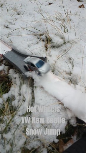 Beetle Snow Jump