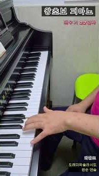 [왕초보 피아노 22일차] 가온도 에튀드, 팽이치기, 라단조 도레미파솔라시도 건반 연습 #piano