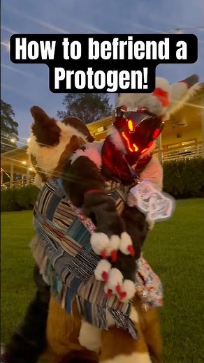 How to make friends in the furry fandom! #furry #fursuit #furries
