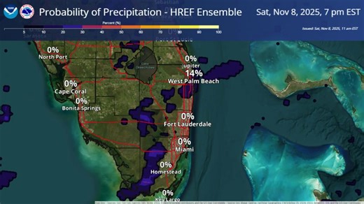 Above average temperatures will remain the main weather story through the rest of the weekend, but there will also be a low chance of seeing a few showers (perhaps an isolated storm or two) each PM. This loop shows probabilities of precipitation in the 20-40% range: | US National Weather Service Miami Florida