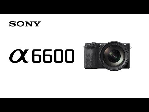 Product Feature | Alpha 6600 l Sony | α