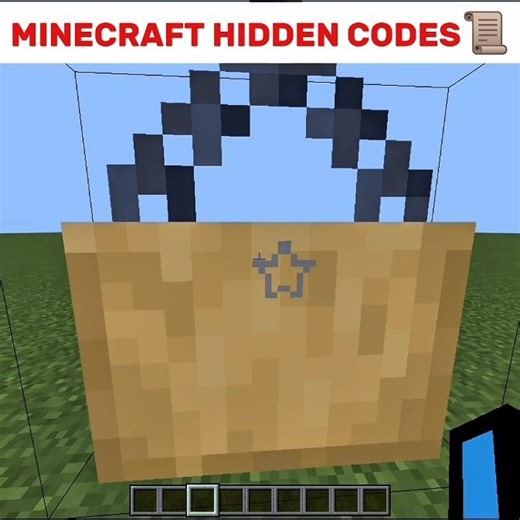 MINECRAFT HIDDEN CODES THAT YOU NEED TO KNOW📜🤯 #minecraft #shorts