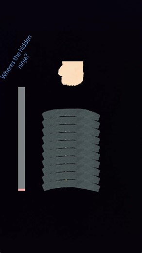 find the hidden ninja who ever finds it first gets their comment pinned