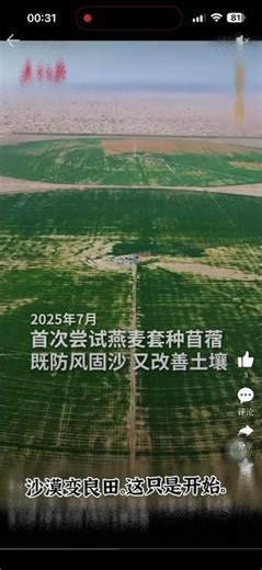 沙漠变良田，这只是开始。#agriculture #automobile #autonomous #farming #bds #planting #tree
