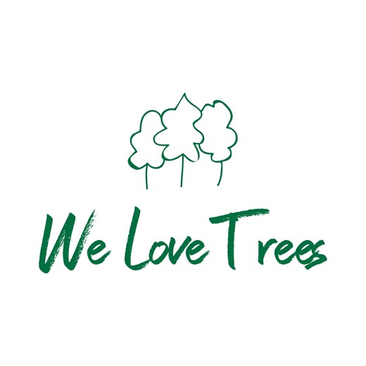 Native Texas Tree Care Guide: Protecting Hays County’s Canopy in 2026