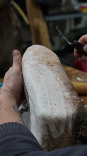 How To Shave A Deer Hide