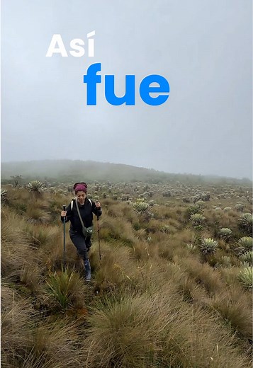 Experiencia de Camping con el TECNO POVA CURVE 2 5G