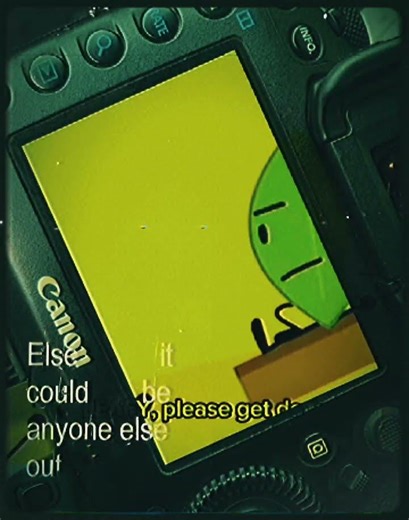 firey and leafy fighting @BFDI