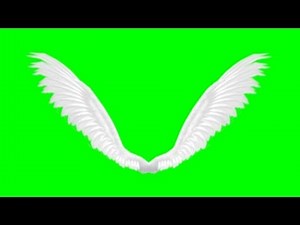 animated angel wings - green screen effect