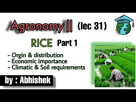 RICE origin, Distribution, Economics, Climate & Soil• Go For Agriculture Education #icar #bhu #ibps