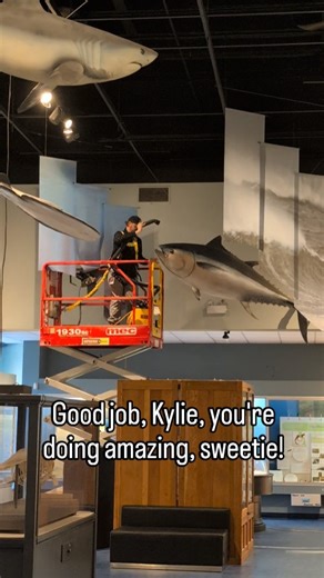 A museum favourite: Keeping up with the technicians. The job title of museum technician should really be museum magician. Here, they install and remove travelling exhibits, build permanent exhibits and interactives, repair and maintain exhibits, build mounts, paint tree bark so realistic we have to remind people the trees aren't alive, keep our salt water aquarium running, clean models (like this video), work with conservators, curators, interpreters, and more. And did we mention they also work 