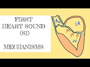 First heart sound (S1)