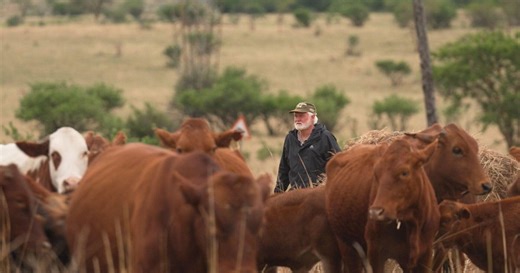 Inside Trump's South Africa Afrikaner claims