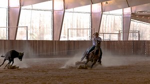 13K views · 419 reactions | Rubys Rollin has been a top futurity...