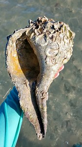 8.2K views · 56 reactions | Save and Read below! ✨️⬇️ . I hope the...