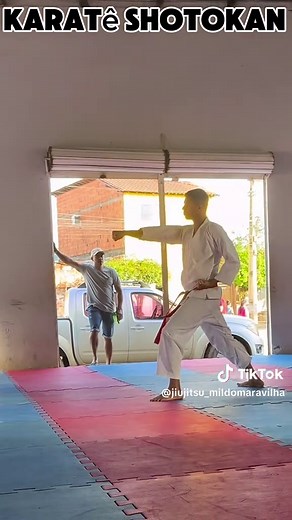 Graduação Completa de Karatê: Técnica e Progresso