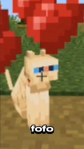 🔥How to tame a cat (easy and quick)