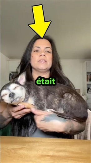 Il y a un problème avec son chien…