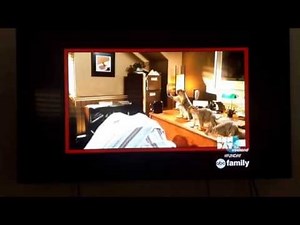 Alvin And The Chipmunks Credits With The Intro of 101 Dalmatians