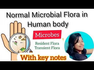 Normal Flora in Human body . How Microorganisms also beneficial for us. Microbes are not Harmful
