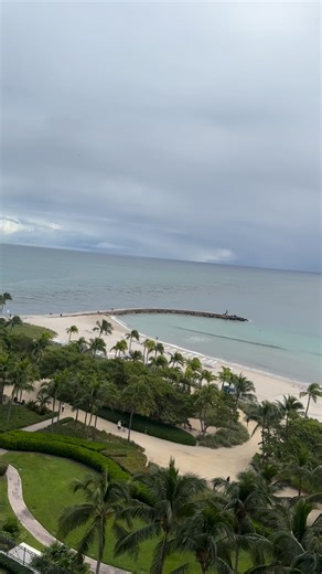 1.9K views · 24 reactions | Thursday morning Surf Report. Wind is north at 5 mph . Trace of the north swell but only occasionally rideable on a paddleboard. Low tide is at 1:05 high tide is at 7:05. Anything changes will let you know. #MiamiSurfReport. | Island Water Sports Surf Shop | Facebook