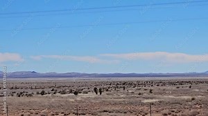 Drive Plate-Passing a barren New Mexico desert along Interstate 10 with telephone lines along the roadway and a blue sky