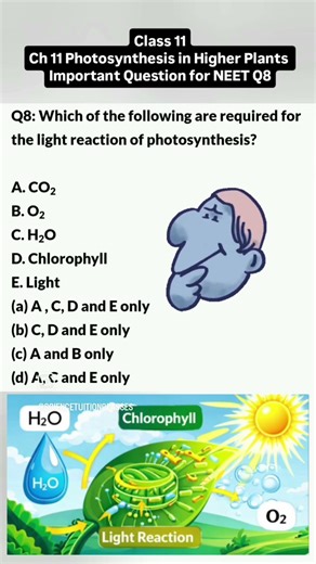 MCQ Biology Neet #neet2026 #mcq biology #objective biology #objective questions #pyqs #preparation