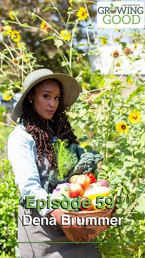 2.3K views · 11 reactions | Denà Brummer talks farming, gardening and...