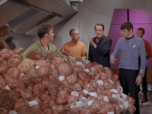 Starfleet Records: Starfleet Records. James T. Kirk. Captain of the...