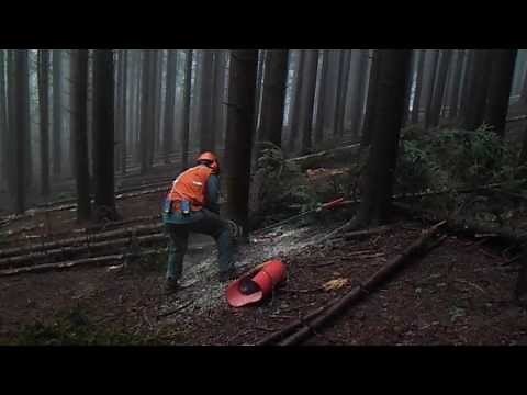 Felling lever when felling trees