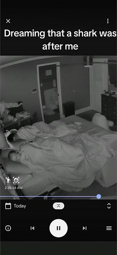 Real Dream Footage: Funny Dreams and Sleep Talking Moments