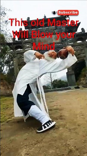 This Kung Fu Style Will Blow Your Mind!