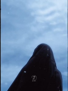 38K views · 4.9K reactions | Ramadan period plans. | Bismillah | Facebook