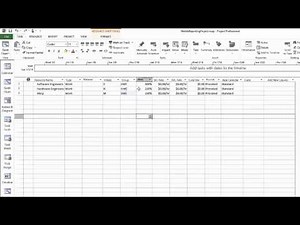 MS Project 2013 12 Create a resource pool