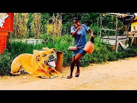 Ultimate Best of Best Pranks in Africa! Compilation 2025!!