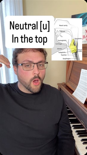 ᴊᴏʀᴅᴀɴ ꜱᴄʜʀᴇɪɴᴇʀ, ᴛᴇɴᴏʀ on Instagram: "Training the tenor voice as an Opera Singer & Voice Teacher. When you’re working with a singer who is accustomed to over spacing in the passaggio or the top of their voice, this exercise can be very helpful. You’ll find a lot of people who approach this spot in their voice with a big open vowel and a lot of air trying to “make it work” This vowel sequence can help them find good adduction with the [i] at the bottom, laryngeal tilt through the middle and the