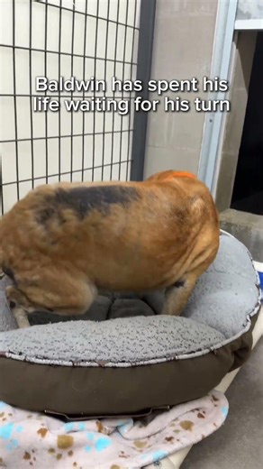 He’s 10… and Still Waiting for Someone to Choose Him 💔