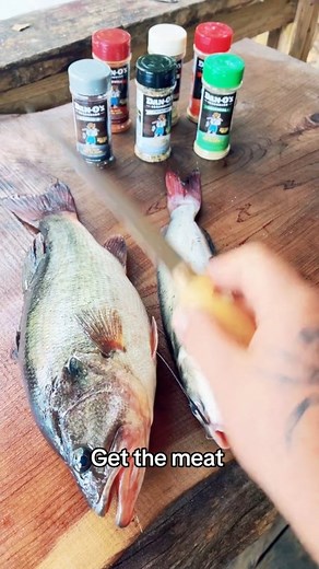 94K views · 3K reactions | Catfish and bass (catch clean cook) #cooking #fishing #outdoors #cheapprice #easyrecipes #seafoodlover | Wade Fishez | Facebook